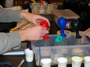 Students Collecting Data