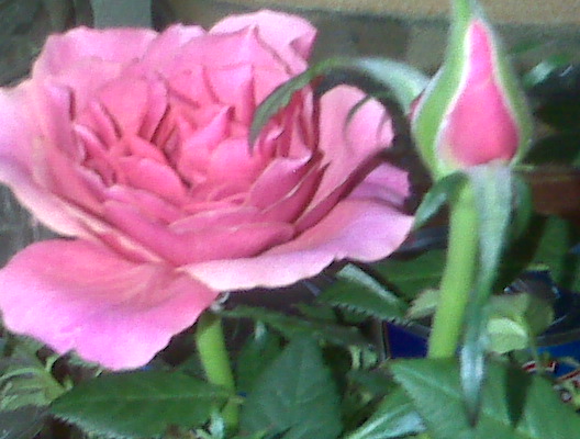 Lessons My Mother Taught&nbsp;Me