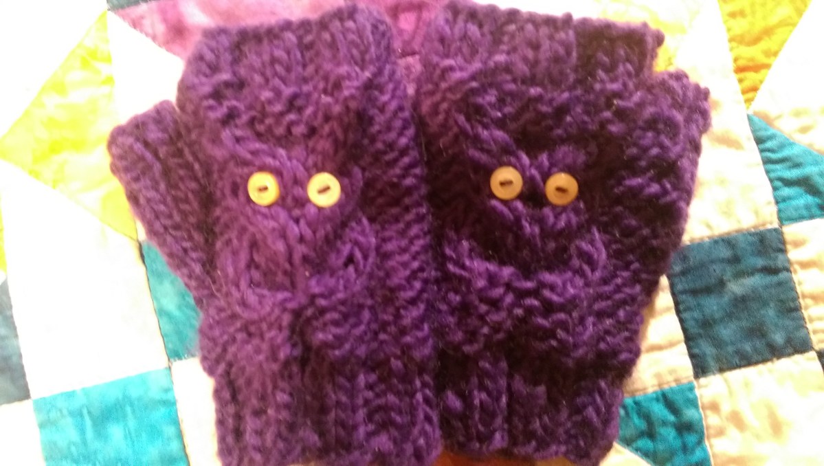 Owls for Eleanor