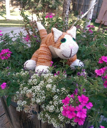 Kitten in Flower Pot