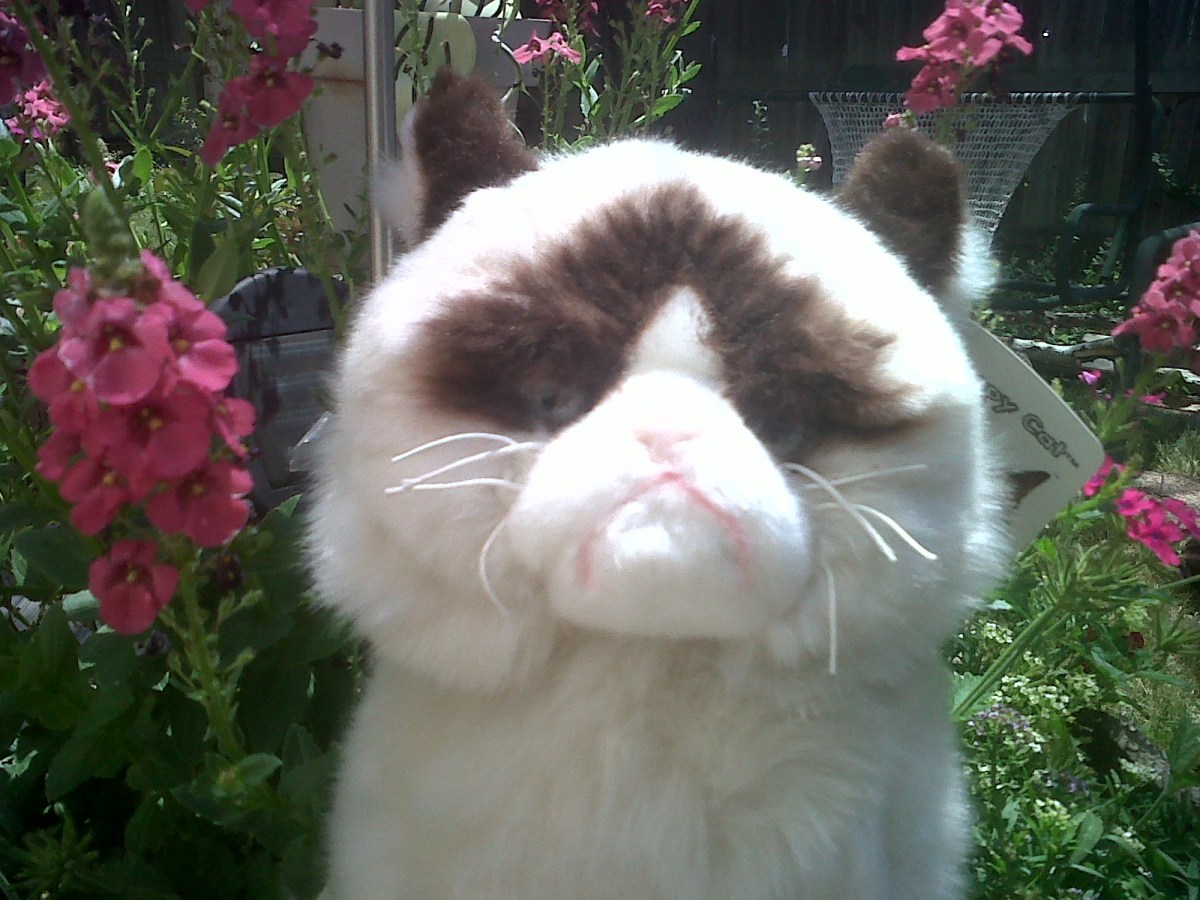 Life is Uncertain, Knit&nbsp;Fast!!