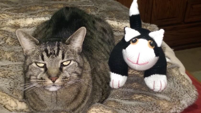 Cat is done! MacKenzie still isn't sure about how he feels about him.