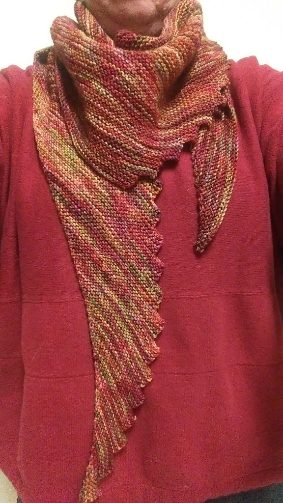 Finished scarf on author.