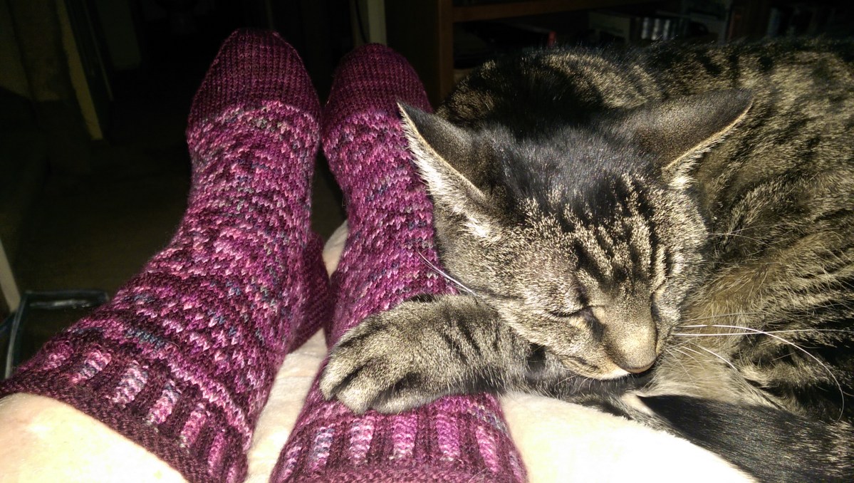 FO: January Socks are&nbsp;Done!