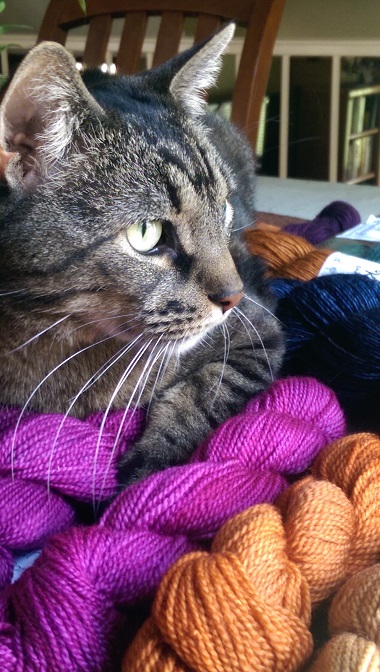 MacKenzie and shawl yarn.