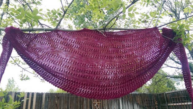 Shawl in Tree