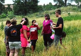 Flower hunters in a meadow.