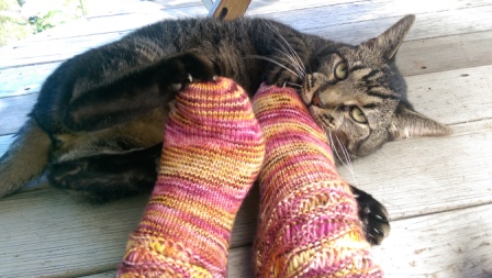 Cat and Socks