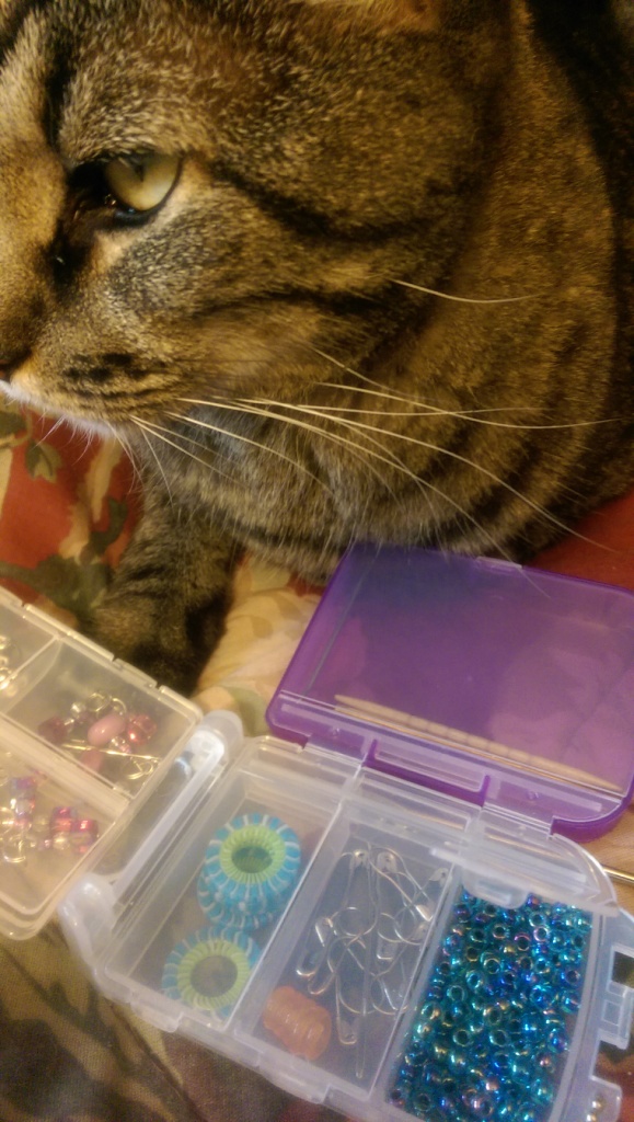 Cat and Beads