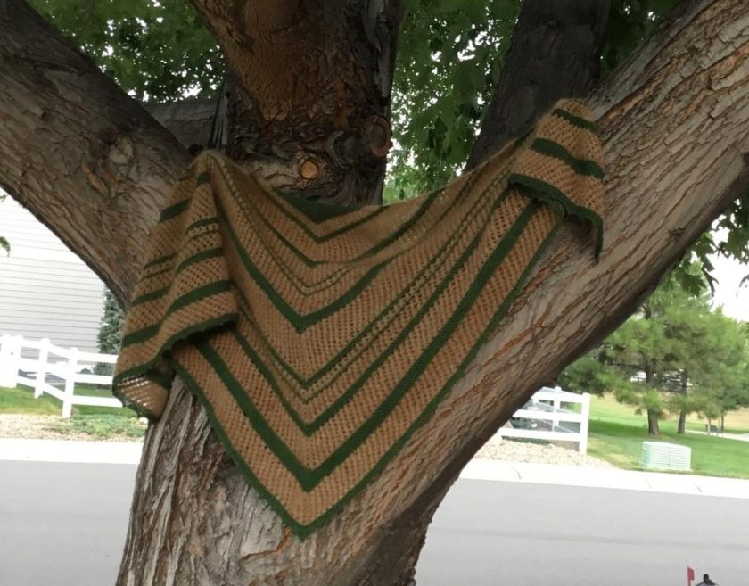 Shawl in Tree