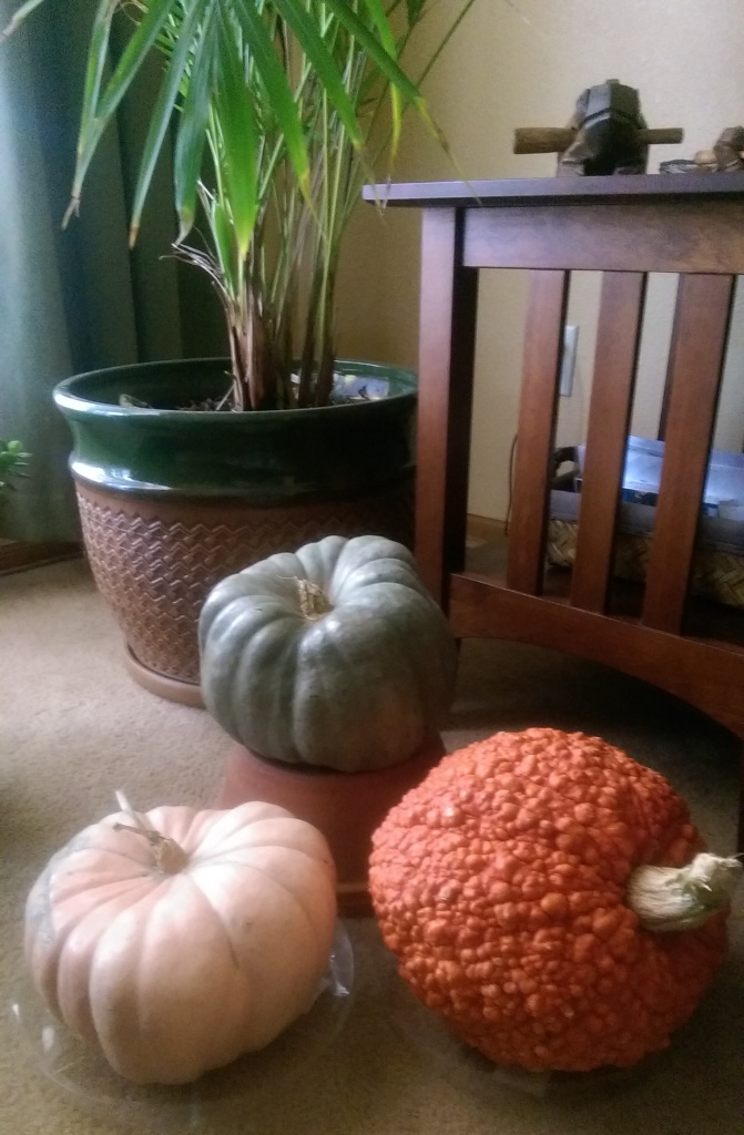 Pumpkins