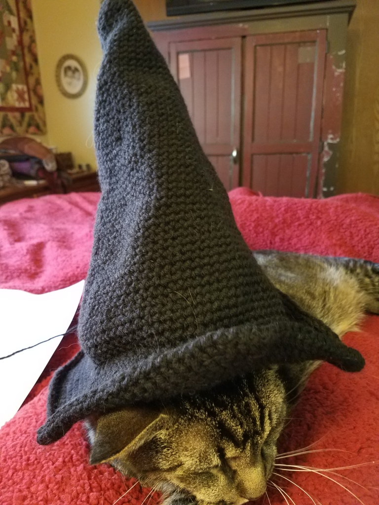 Wizard Hat