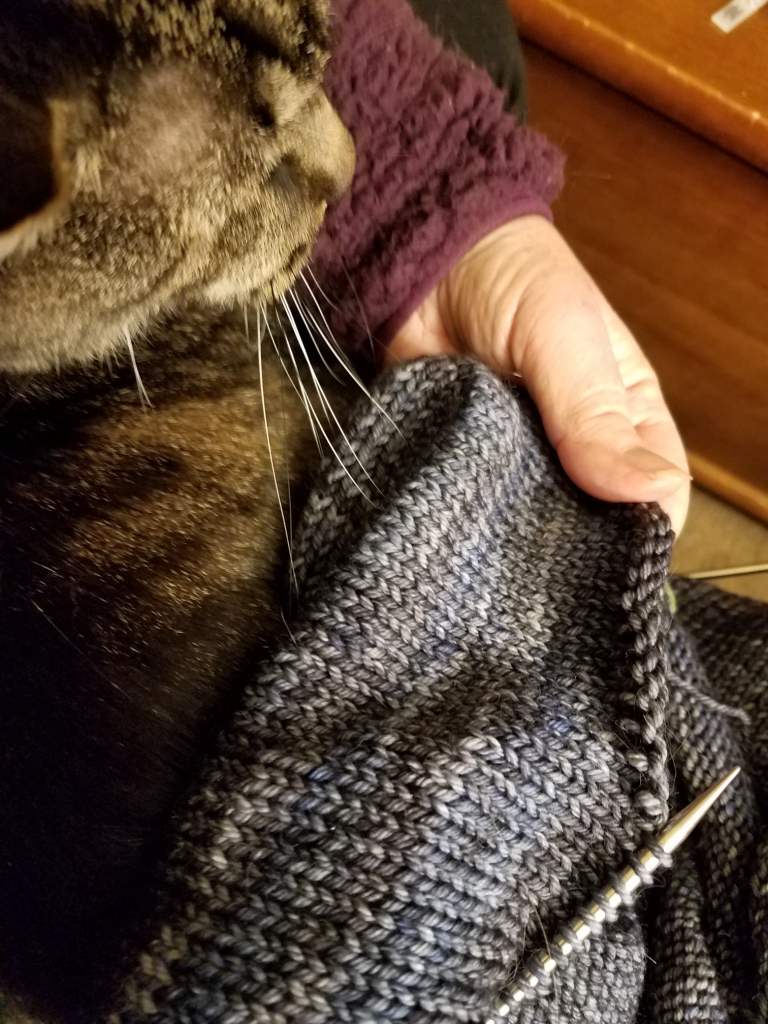 Picking up stitches with cat supervision.