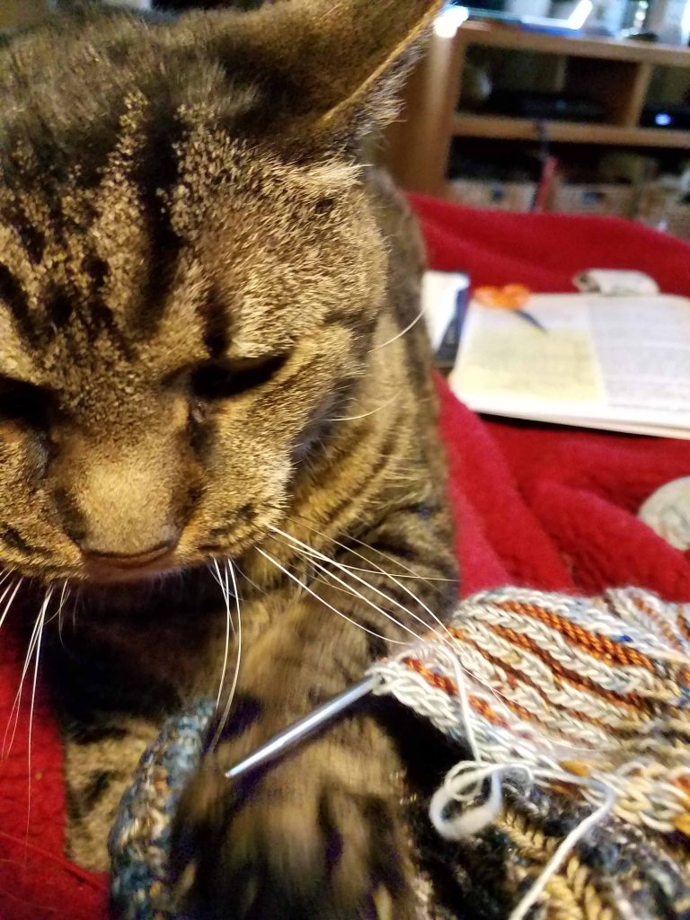 Claws in the knitting.