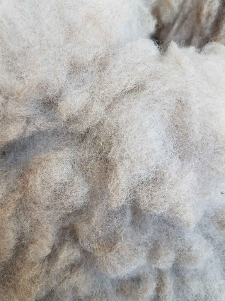 Alpaca fleece.