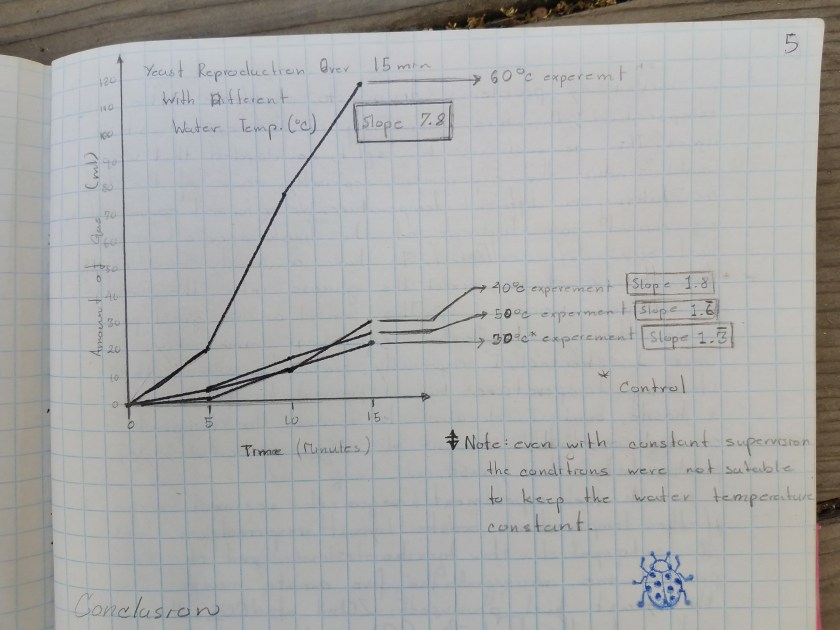Graph of experiment.