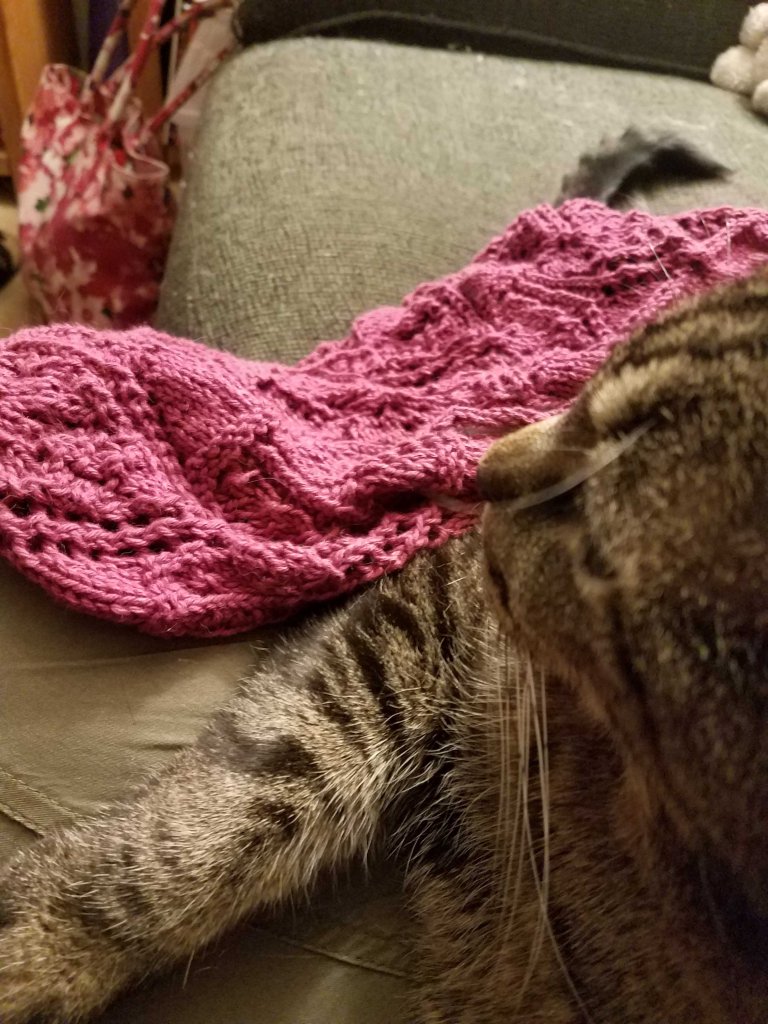 Cat and Knitting.