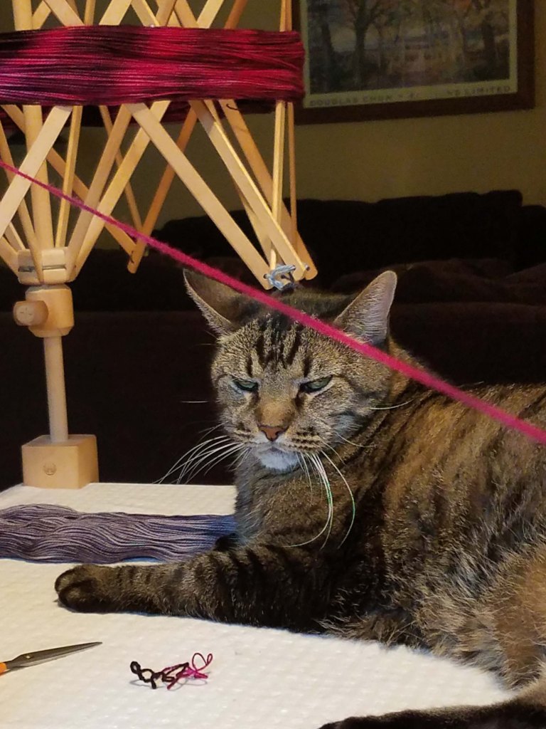 Yarn winding cat.