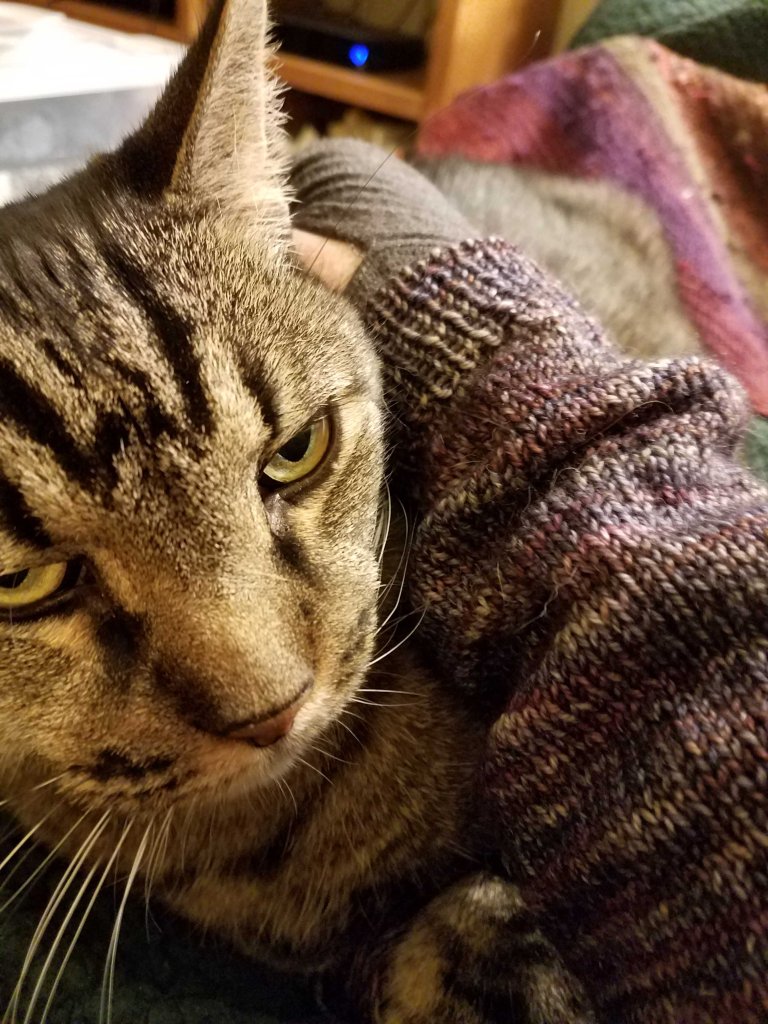 MacKenzie and the arm warmer.