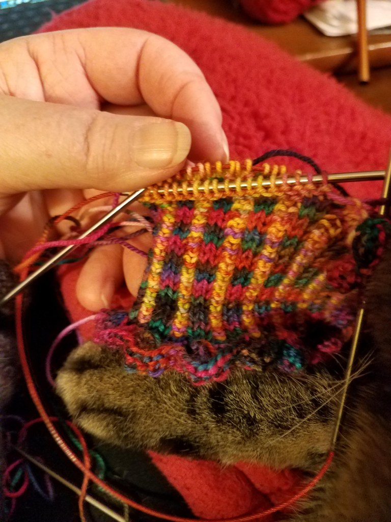 Cat paw on knitting.