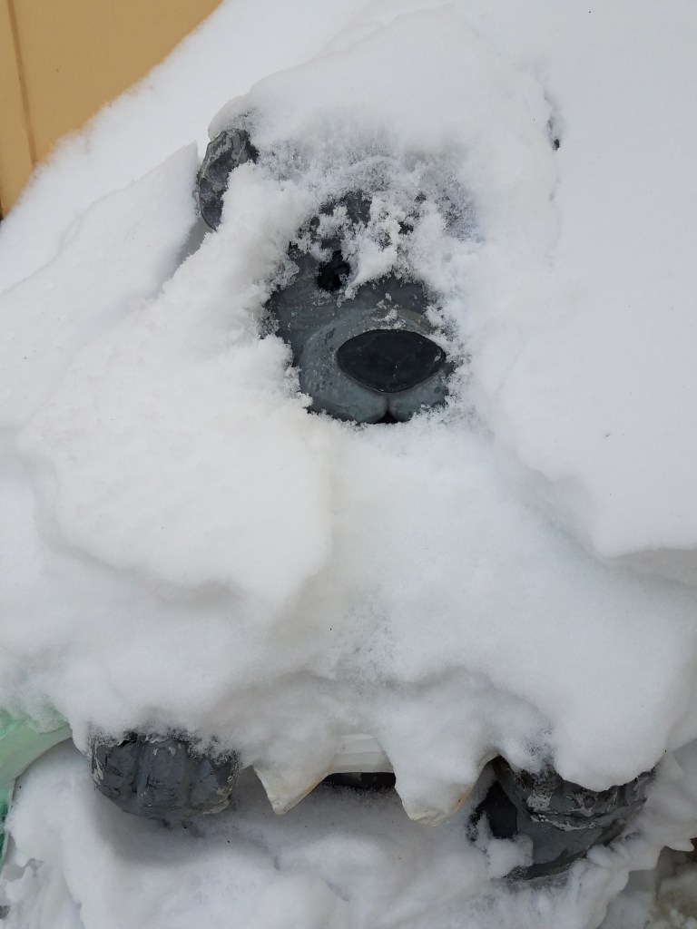 Face of bear statue buried in snow drift.