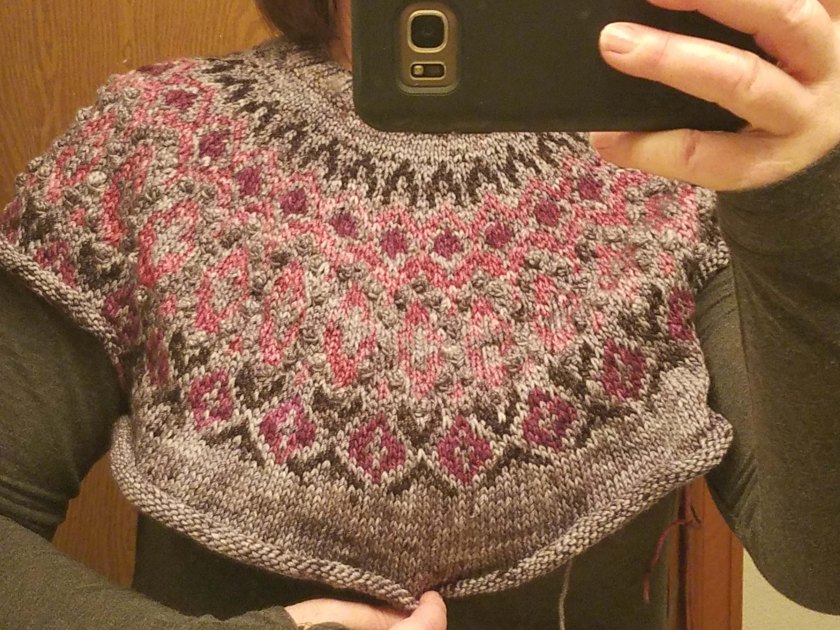 Author wearing sweater in progress.