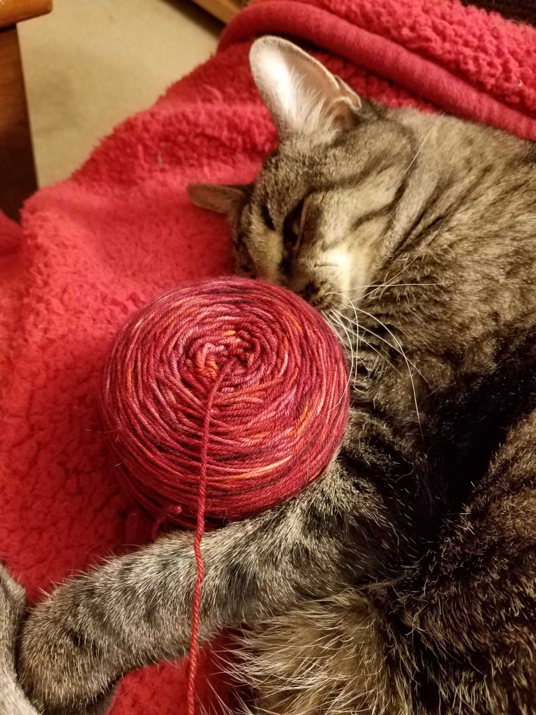 Cat sleeping with ball of yarn.